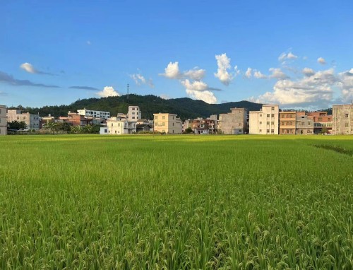 奥地利VS突尼斯直播_奥地利VS突尼斯免费直播在线直播